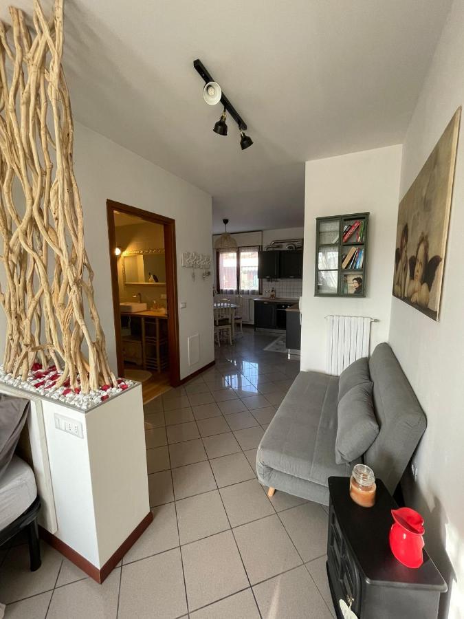 Apartment "La Balotta" 博洛尼亚 外观 照片