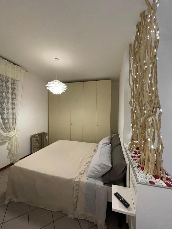 Apartment "La Balotta" 博洛尼亚 外观 照片